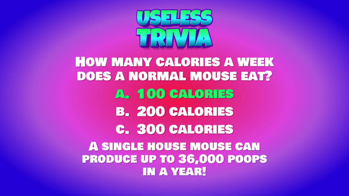 Useless Trivia Round Seven image number null
